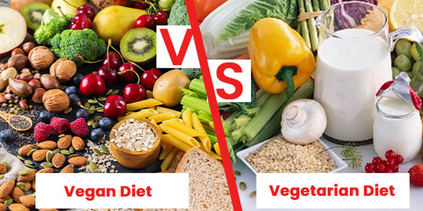 Vegetarian and Vegan Diets Explained